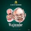 wajumbe (feat. P Mawenge) (Explicit) - mtusafi&P Mawenge