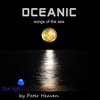 Oceanic - Peter Heaven&blue light orchestra