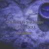 Lost (Tony Gribsun Radio Edit) - Homayoun Shajarian&Seventh Soul&Tony Gribsun