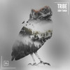 Tribe (Original Mix) - Eddy Tango