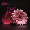 Main theme - Alex Flower