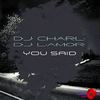 You Said (Original Mix) - DJ Charl&DJ Lamor