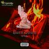 Burn Down (Explicit) - Lil yoshi