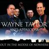 I Want You - Wayne Taylor&Appaloosa