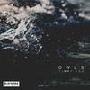 Owls (Original Mix) - Timmy Kos