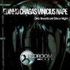 Disco Night (Original Mix) - Vinicius Nape&Edinho Chagas