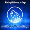 Dry (Original Mix) - Ricky & Dave