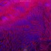 Puma - Search Yiu&BLVTH