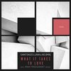 What It Takes To Love (Max Freegrant Radio Remix) - Santiago Luna&AO (MX)&Max Freegrant