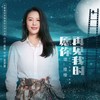 愿你再见我时 - 谭维维