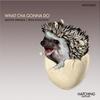 What Cha Gonna Do - Fran Evolution&Nestor Arriaga