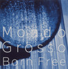 Do you see what I see - Mondo Grosso