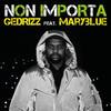 Non importa - Gedrizz&Maryblue