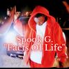 Facts Of Life (Explicit) - Spook G.