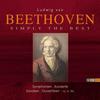 Symphony No. 9 in D Minor, Op. 125 