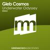 Underwater Odyssey - Gleb Cosmos