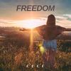 Freedom - 沈栎