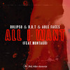 All I Want - Rolipso&BRT&Able Faces&Montagu