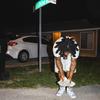 On Me (Explicit) - EGE Smiley