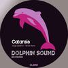 Catarsis (Brrak Remix) - Jorge Calderon&Brrak