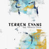 Feelings (DIBIDABO Remix) - Terren Evans&Rebecca Grace&DIBIDABO