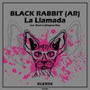 Work it (Original Mix) - BLACK RABBIT (AR)