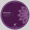 I Liked (Original Mix) - David Mod