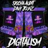 Digitalism (Timo Revna Remix) - Sascha Audit&Davy JounZ