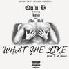 What She Like (Explicit) - Quin B.&Ms. Mek&Josh