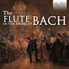 IX. Esurientes (Alto) - Neues Bachisches Collegium Musicum&Hans-Joachim Rotzsch&Doris Soffel