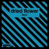 Floro - Dried Flower