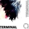 TERMINAL (Explicit) - Happi