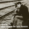 Iron Horse of the Desert - Chris Wayne