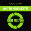 What We Know About It (Original Mix) - Doc Link