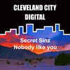 Nobody Like You (Original Mix) - Secret Sinz