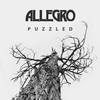 One Lifetime with You - Allegro