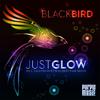 Just Glow (Nightrhymes Remix) - Blackbird