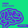 Wobble Colapse - Linkage