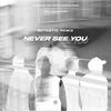 Never See You (BETASTIC Remix) - TwoFLags&Bad Habits&MusicByDavid&Liam Sturgess&BETASTIC&Tom Beier&Daniel Czaja&Aykut Hüseyin Baser&Carlos García Paredes&William Chamberlain Sturgess