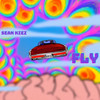 Fly - Ash Riser&Sean Kiez