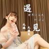 过年的歌 - 九姨&九姨夫(DJ)
