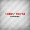 Hydroponic (Deep Groove Remix) - Ricardo Trueba