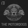 Eternity Of Darkness (Original Mix) - SENES&The Motordogs