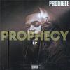 Brand New(feat. Leeroy & Luka Pryce) (Explicit) - Prodigee&Leeroy&Luka Pryce