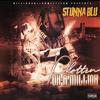 Like to Flex (Explicit) - Stunna Blu