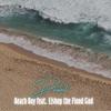 Beach boy(feat. Lishop the Flood God) (Explicit) - Dawnt&Lishop The Flood God
