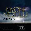 Nyoni Yezulu - Leroy Styles&Zakes Bantwini