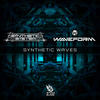 Synthetic Waves (Original Mix) - Synthetic System&Waveform