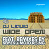 Rise Up (Mojo Rising Remix) - DJ Liquid&Mojo Rising&Joel Semchuck