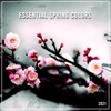 All I Ever Wanted - Dave Crusher&Sean Norvis&Alba Kras